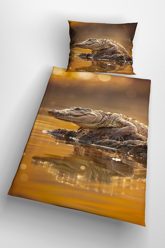 Crocodile