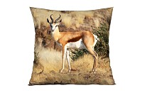 Antilope