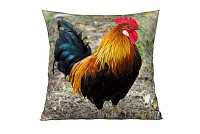 Gallo