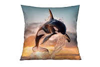Orca