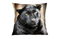 Panter