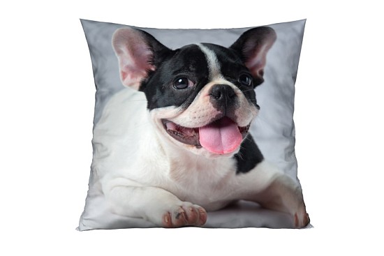 Dekokissenbezüge Bulldog