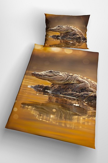 Crocodile