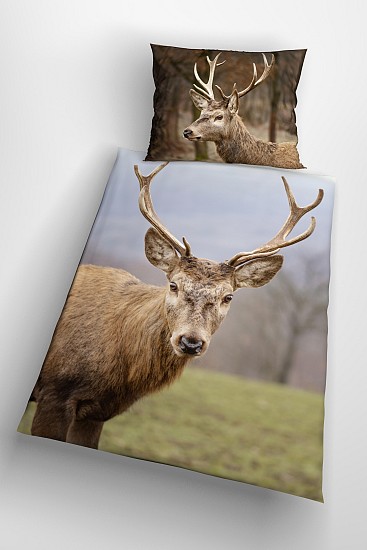 Deer