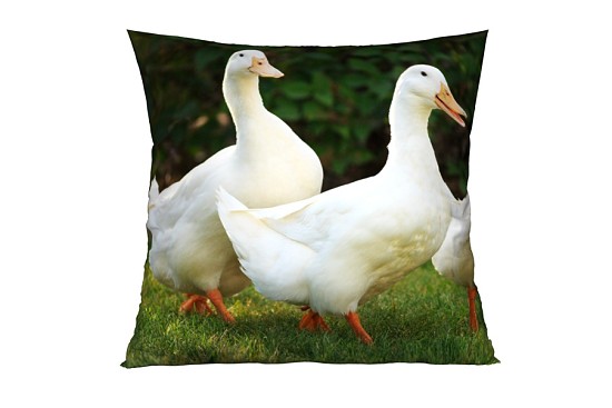 Dekokissenbezüge Goose