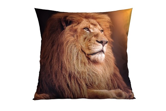 Dekokissenbezüge Lion