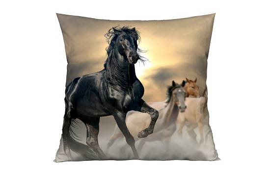 Dekokissenbezüge Mustang