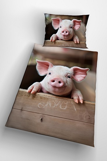 Piggy