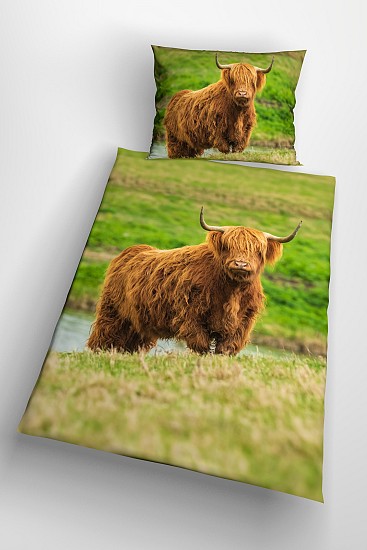Yak